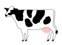 牛種の詳細